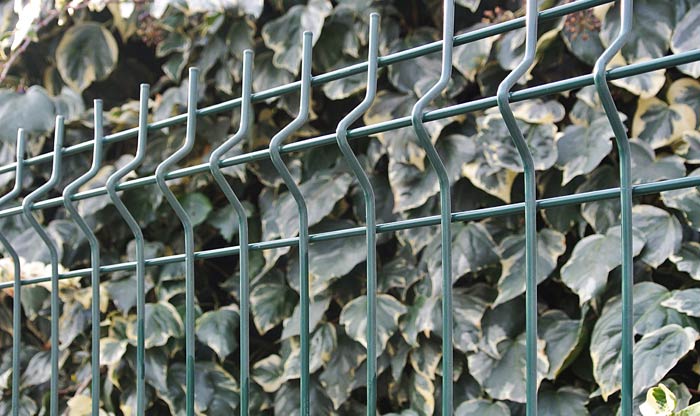 image de Propos De Nous sofim tn